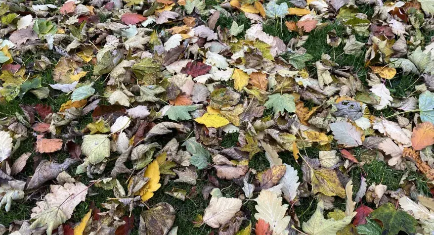 Getting Your Home Winter-Ready: Electrical Safety Tips for Shrewsbury Households